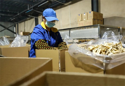 玉屏 市場(chǎng)需求旺，菌棒生產(chǎn)忙，食品互聯(lián)網(wǎng)銷售助農(nóng)增收